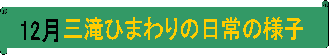 12,OЂ܂̗̓lq