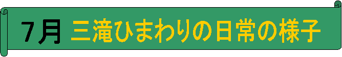 7,OЂ܂̗̓lq