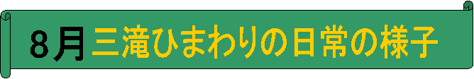 8,OЂ܂̗̓lq