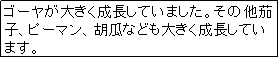 eLXg {bNX: S[傫Ă܂B̑֎qAs[}AӉZȂǂ傫Ă܂B