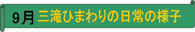 9,OЂ܂̗̓lq