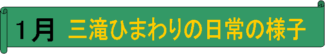 1,OЂ܂̗̓lq
