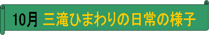 10,OЂ܂̗̓lq
