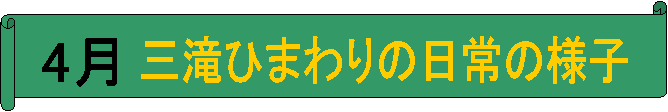 4,OЂ܂̗̓lq