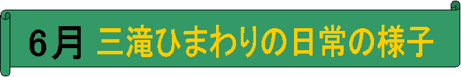 6,OЂ܂̗̓lq