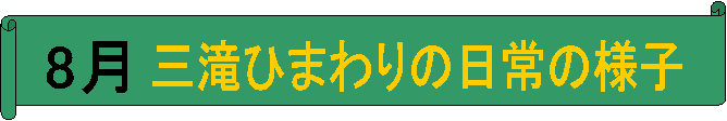 8,OЂ܂̗̓lq