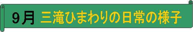 9,OЂ܂̗̓lq