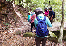 宮島弥山を守る会